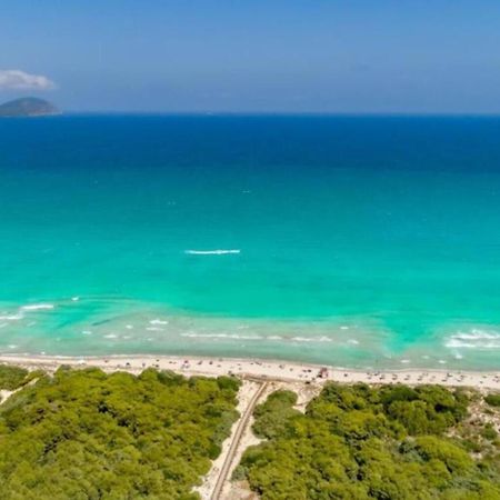 Beach House Alcudia Екстер'єр фото